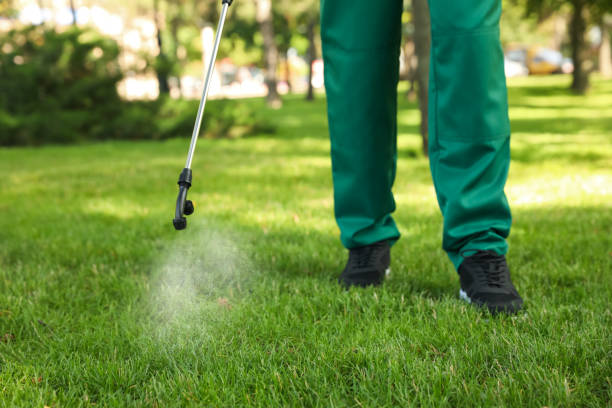 Wasp Removal Services in Chappaqua, NY