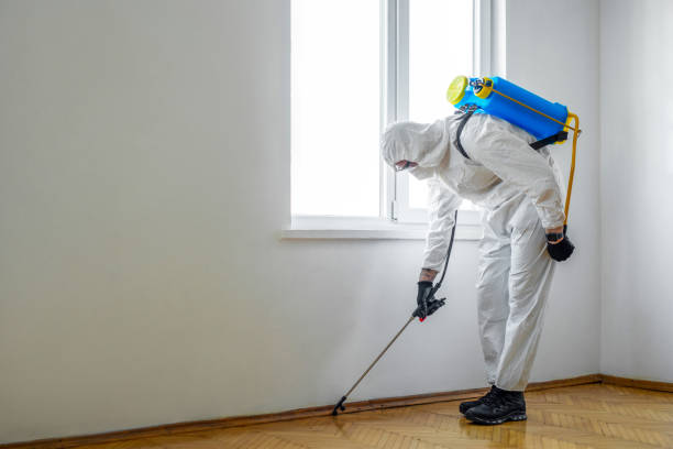 Best Local Pest Control Services  in Chappaqua, NY
