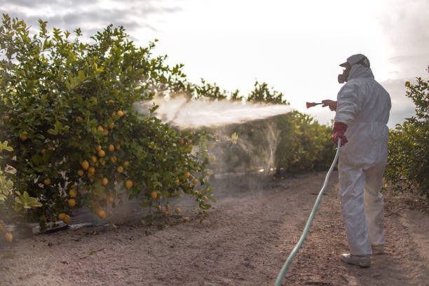 Reliable Chappaqua, NY Pest Control Solutions
