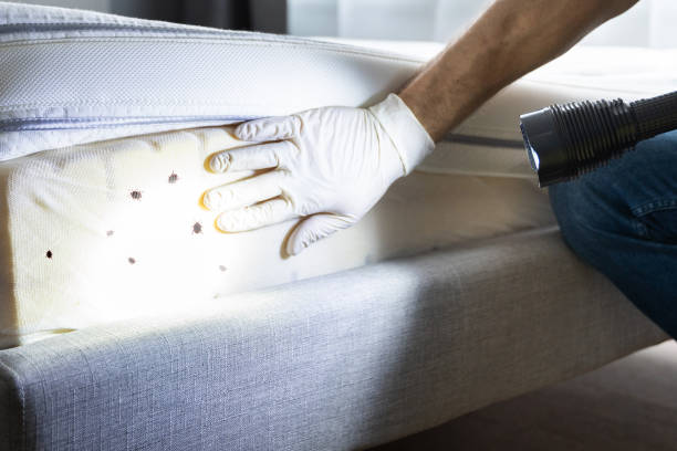 Best Pest Inspection Near Me  in Chappaqua, NY