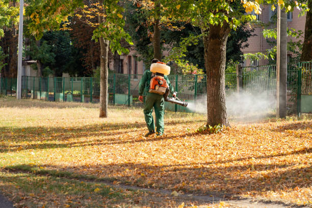Best Bed Bug Extermination  in Chappaqua, NY