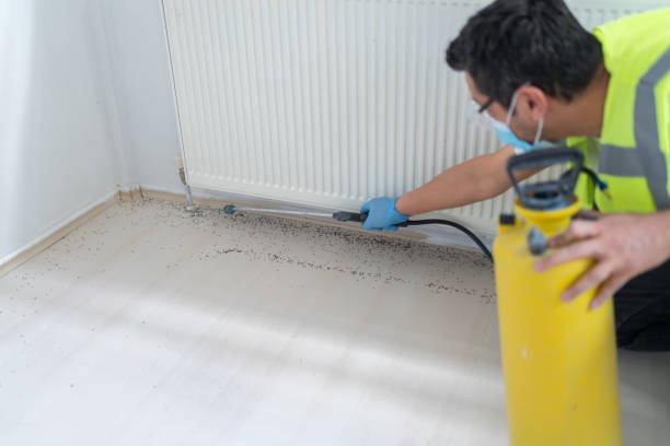 Best Commercial Pest Control Services  in Chappaqua, NY