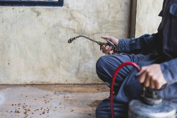 Best Best Pest Control Companies  in Chappaqua, NY